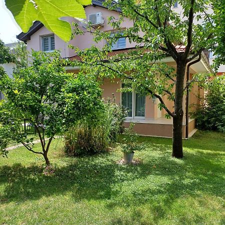 Villa Tamara With Garden And River View - Free Private Parking - Garage Mostar Esterno foto