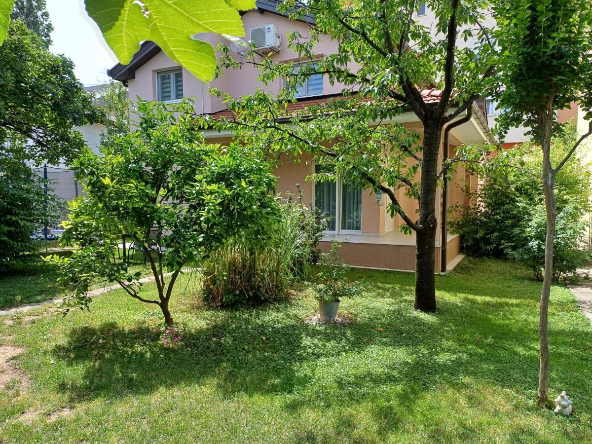 Villa Tamara With Garden And River View - Free Private Parking - Garage Mostar Esterno foto